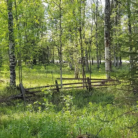 Kuukkeli Arctic House * Ivalo